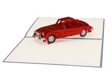 3D Karte Auto