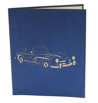 3D Karte Auto