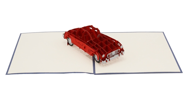 3D Karte Auto