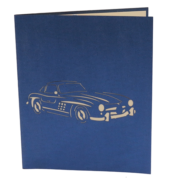 3D Karte Auto